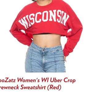 NWOT- WI Badgers cropped sweatshirt
